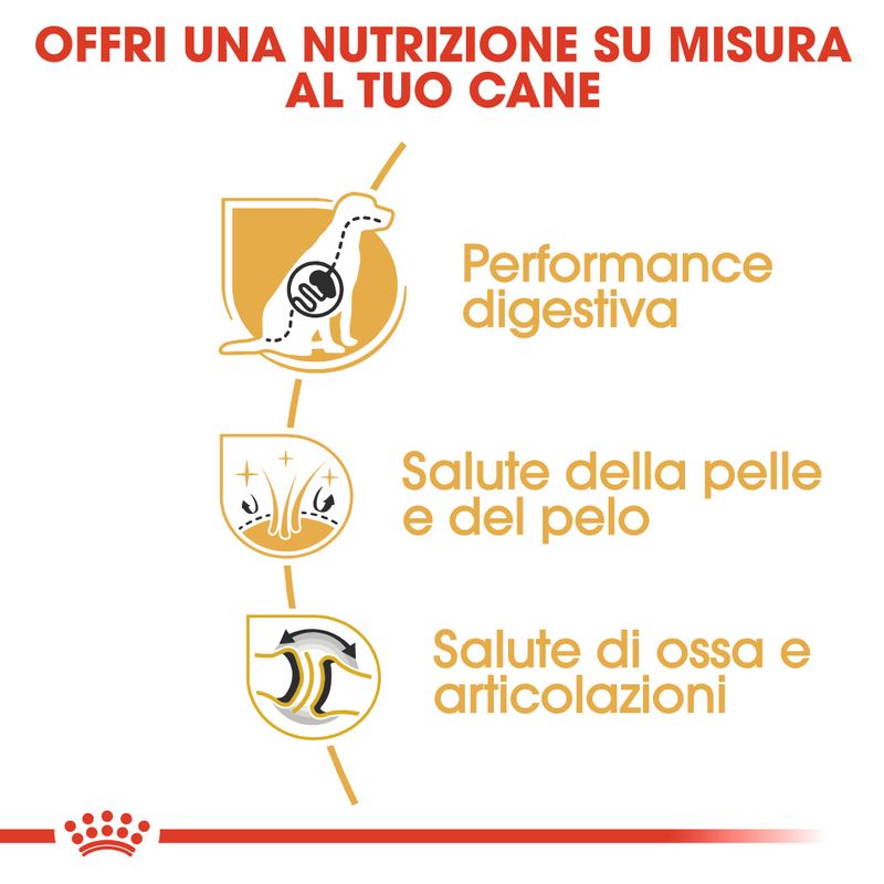 Zooplus Royal Canin Pastore tedesco (German Shepherd) Adult Crocchette per cane Pezzi Unici