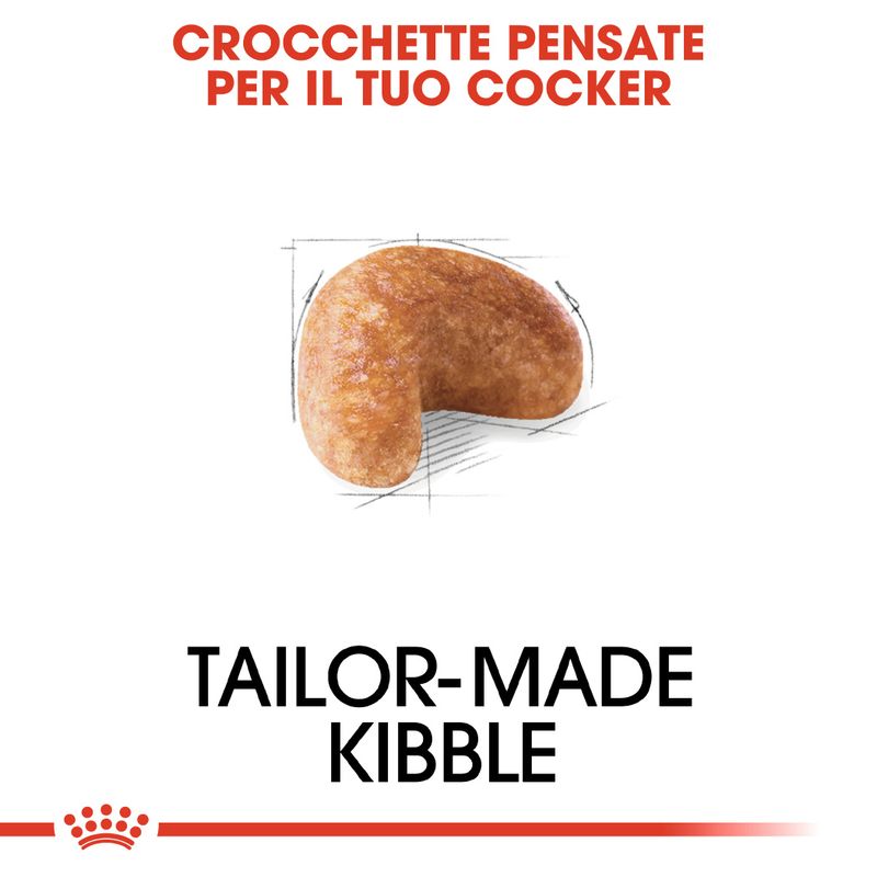 Zooplus Royal Canin Cocker Adult Crocchette per cane Soddisfazione Garantita