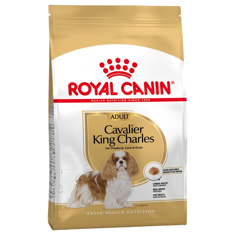 Zooplus Royal Canin Cavalier King Charles Adult Crocchette per cane Negozi Online