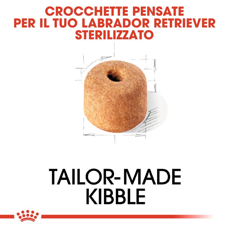 Zooplus Royal Canin Sterilised Labrador Retriever Adult Crocchette per cane Consegna Veloce