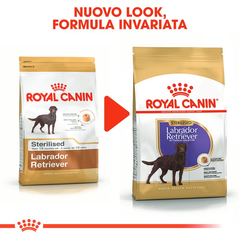 Zooplus Royal Canin Sterilised Labrador Retriever Adult Crocchette per cane Consegna Veloce