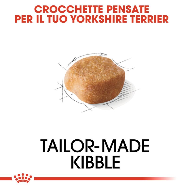 Zooplus Royal Canin Yorkshire Terrier Adult Crocchette per cane Promozione Limitata