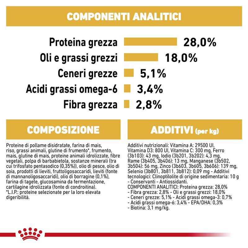 Zooplus Royal Canin Yorkshire Terrier Adult Crocchette per cane Promozione Limitata