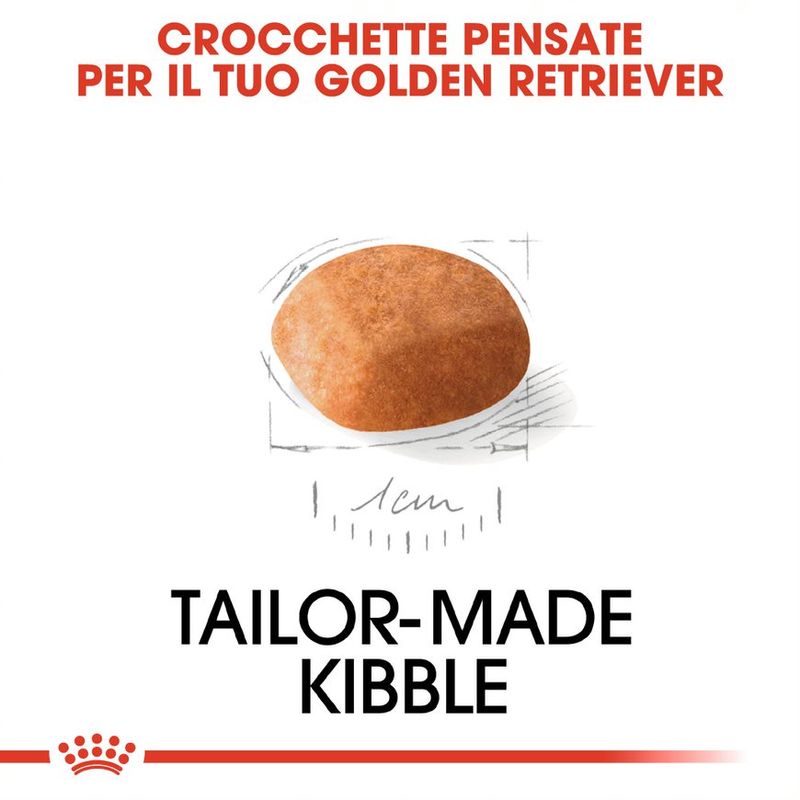 Zooplus Royal Canin Golden Retriever Puppy Crocchette per cane Affare Del Giorno