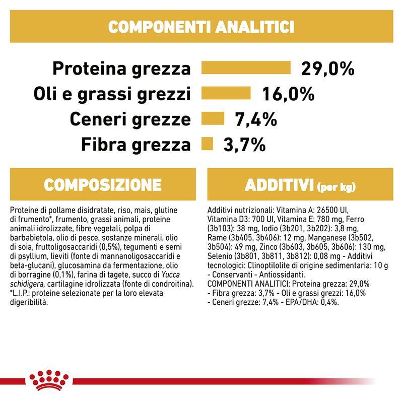 Zooplus Royal Canin Golden Retriever Puppy Crocchette per cane Affare Del Giorno