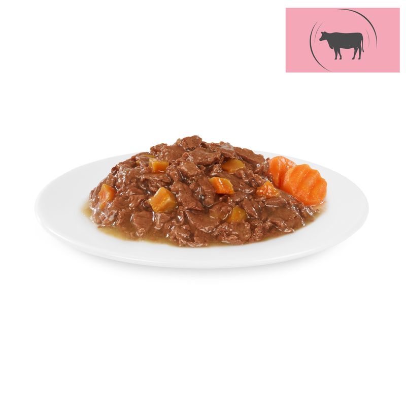Zooplus Briantos in buste 4 x 100 g Pacco misto Umido per cane Sottocosto