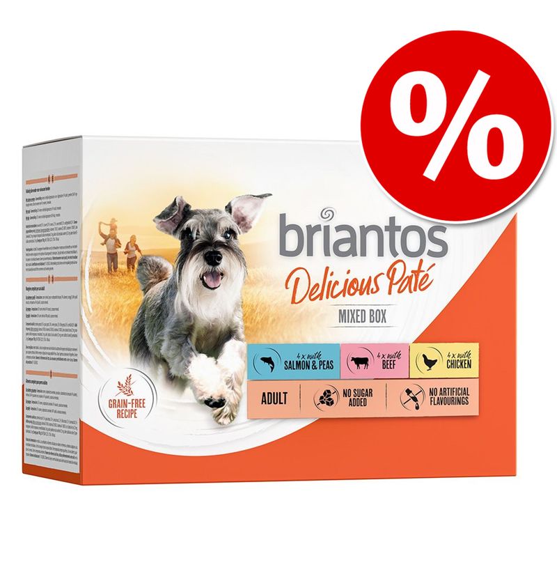 Zooplus Briantos Delicious Paté 48 x 100 g Umido per cane Novità