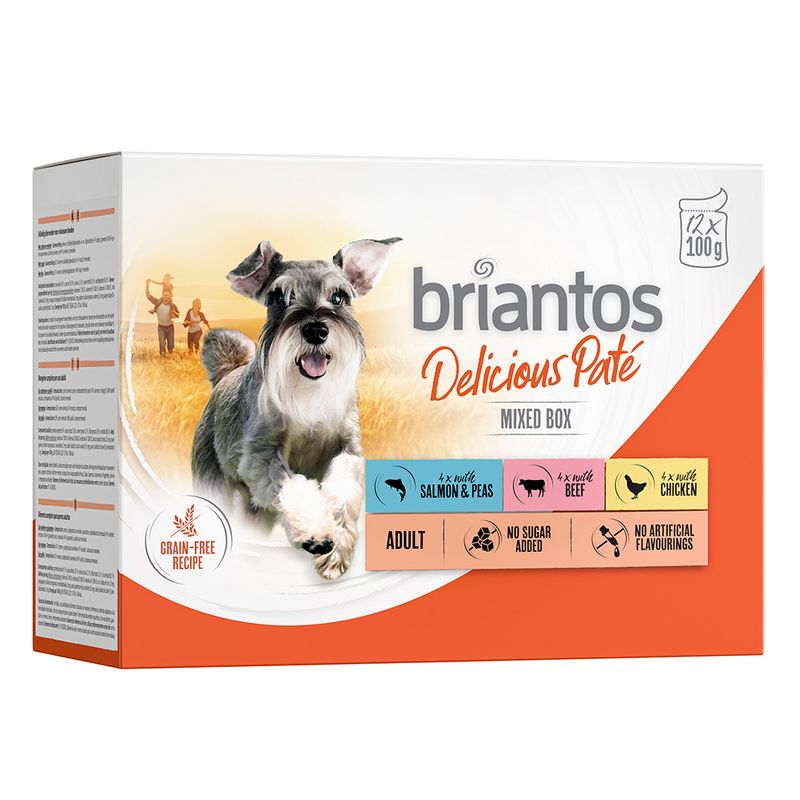 Zooplus Briantos Delicious Paté 48 x 100 g Umido per cane Novità
