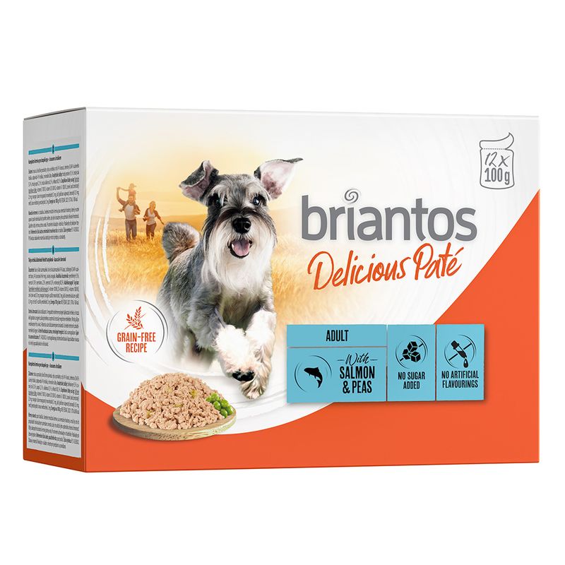 Zooplus Briantos Delicious Paté 48 x 100 g Umido per cane Novità