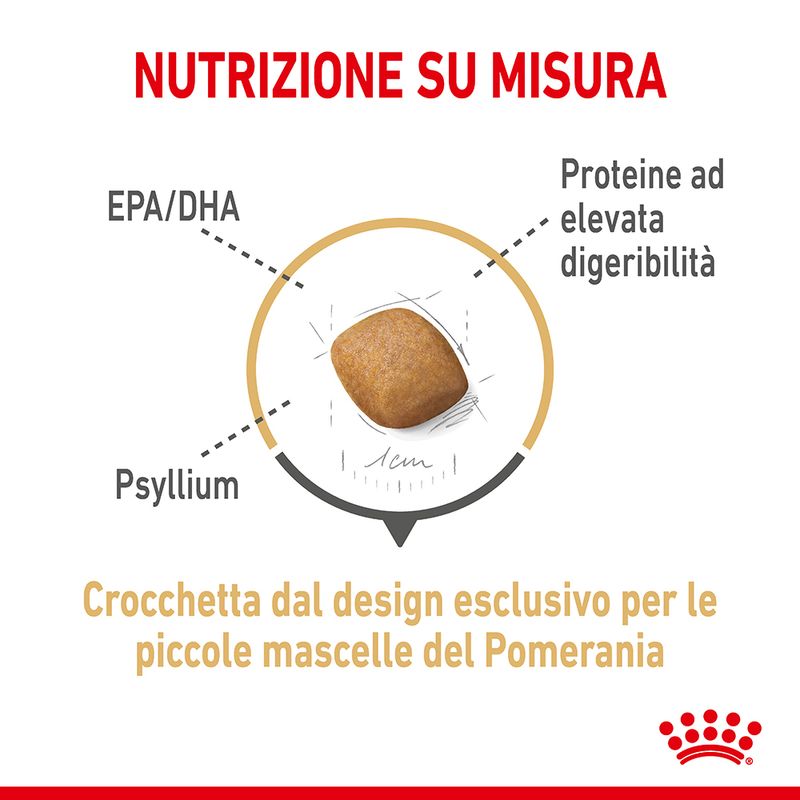 Zooplus Royal Canin Volpino di Pomerania (Pomeranian) Adult Crocchette Offerta esclusiva