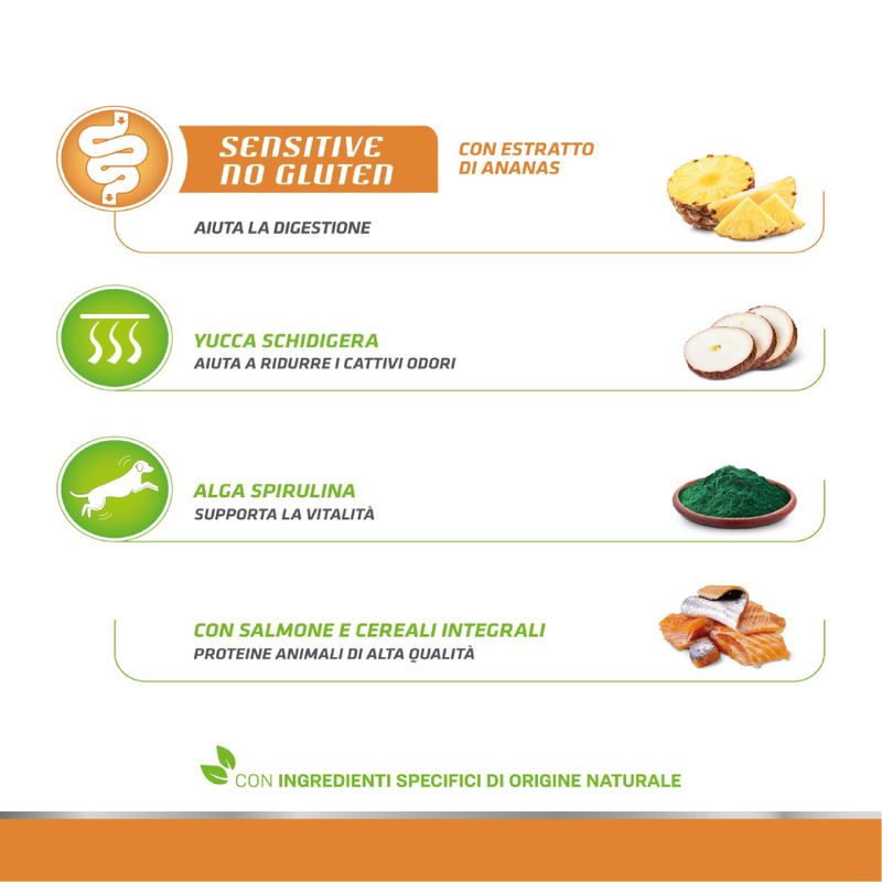 Zooplus Natural Trainer Sensitive No Gluten Adult Small Monoproteico con Salmone Black Friday
