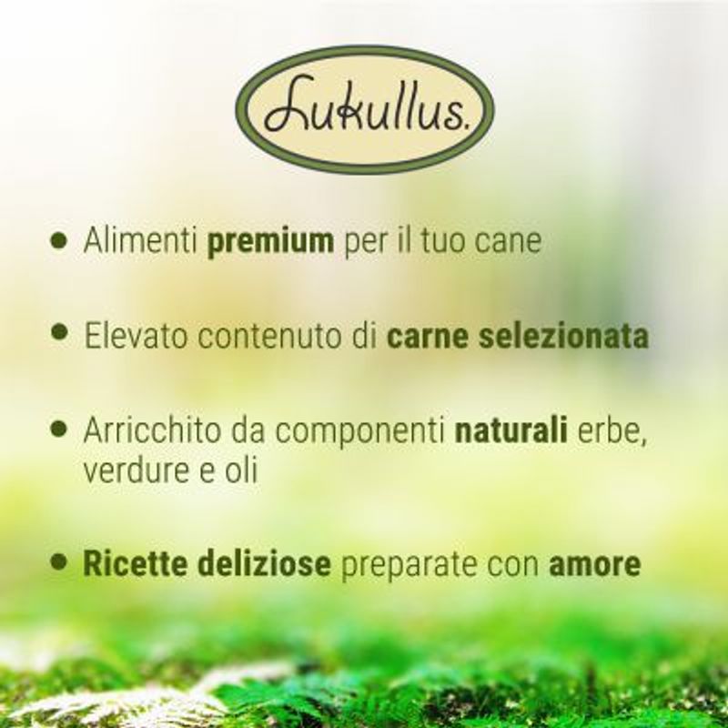 Zooplus senza cereali per cane Officina