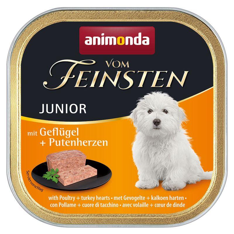 Zooplus animonda Vom Feinsten Junior Senza Cereali 6 x 150 g umido per cani Hotsell