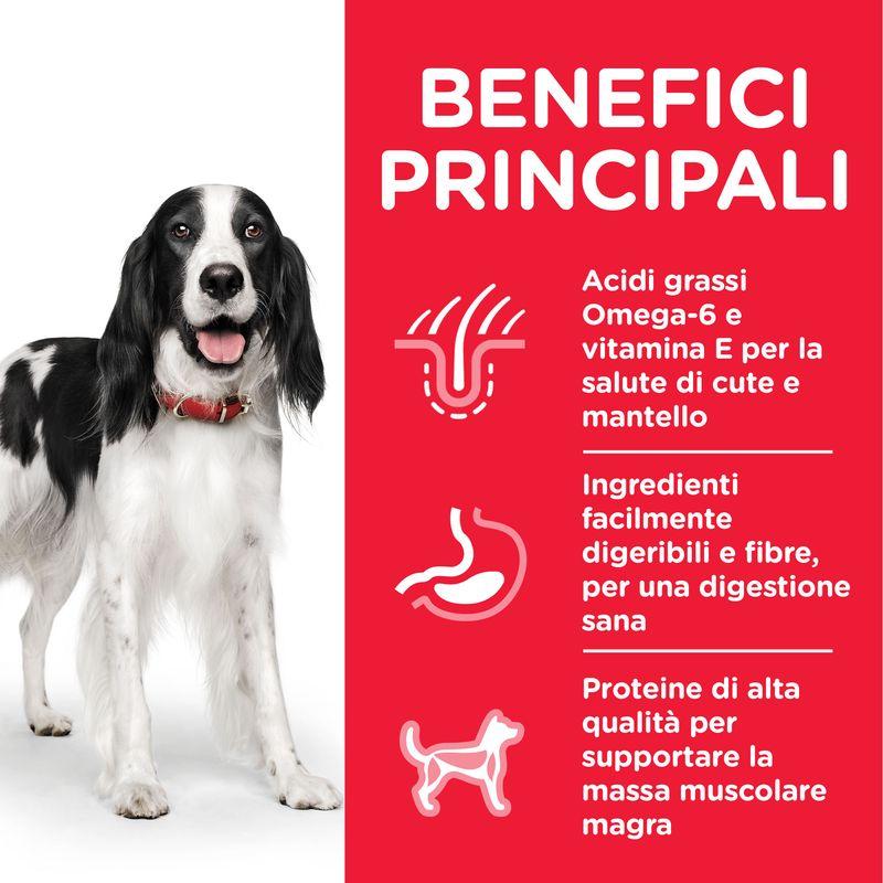 Zooplus Hill's Science Plan Adult umido per cane Comprare a buon mercato