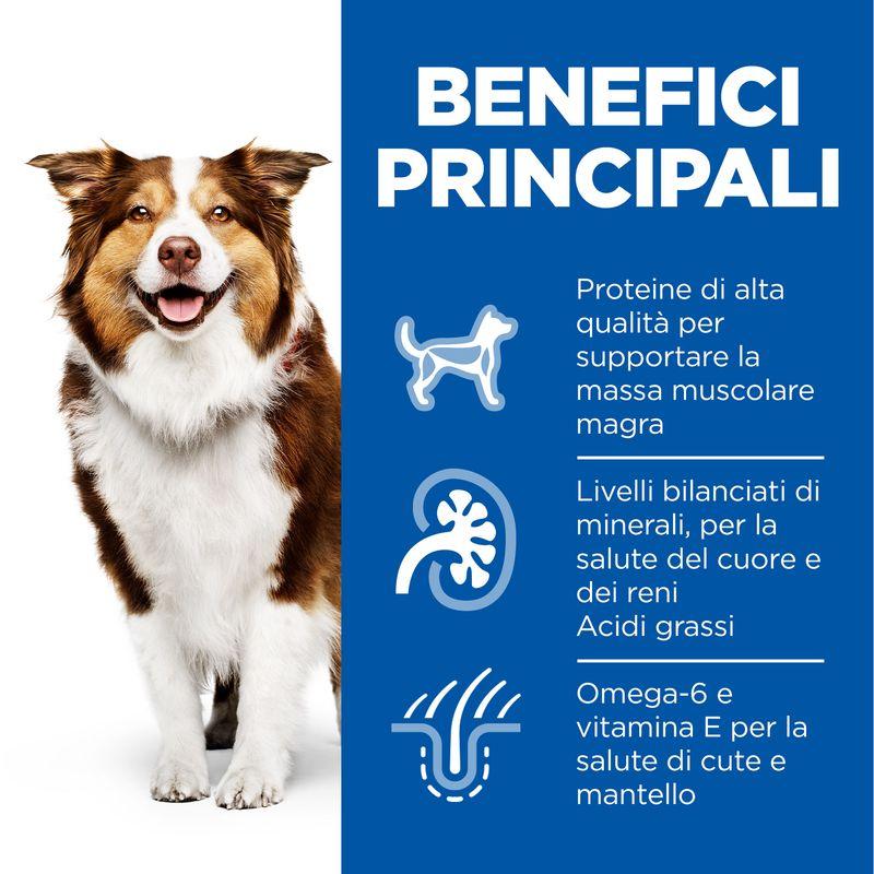 Zooplus Hill's Science Plan Mature Adult 7+ Grande vendita