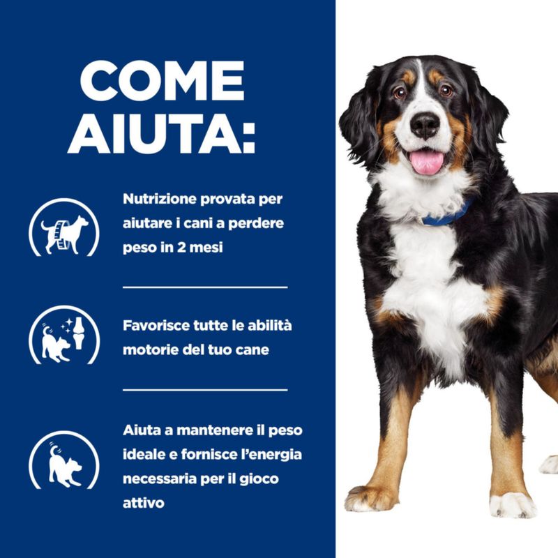 Zooplus Hill's Prescription Diet Metabolic + Mobility Patè umido per cane Vendita calda