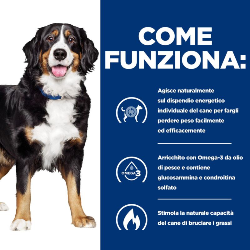 Zooplus Hill's Prescription Diet Metabolic + Mobility Patè umido per cane Vendita calda