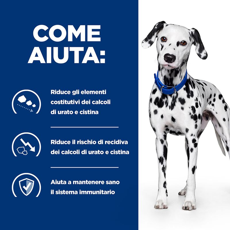 Zooplus Hill's Prescription Diet u/d Urinary Care umido per cani Online Outlet
