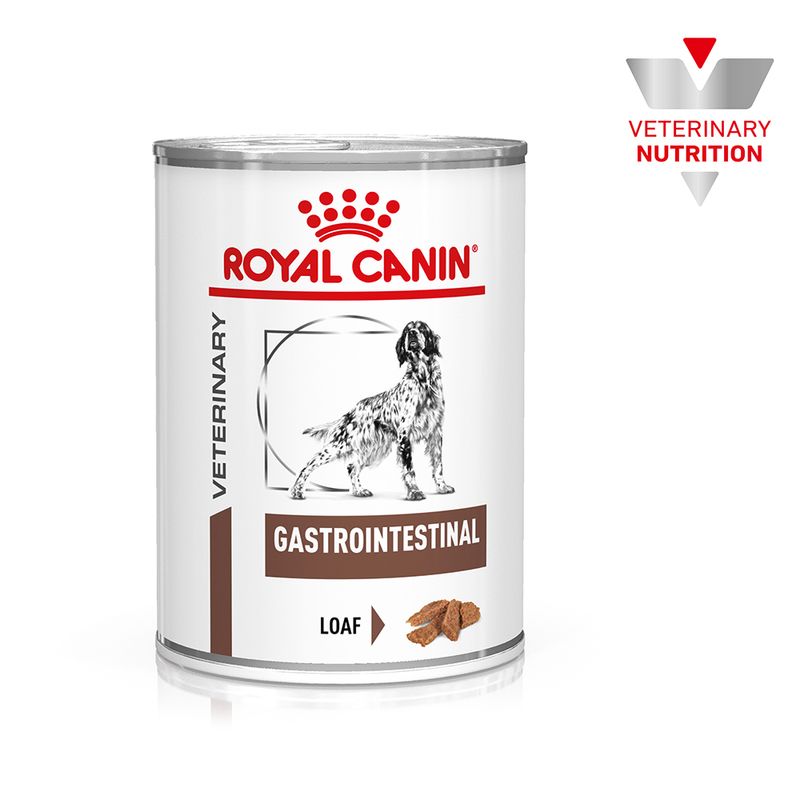 Zooplus Royal Canin Canine Gastrointestinal Veterinary Patè umido per cane Super Saving Price