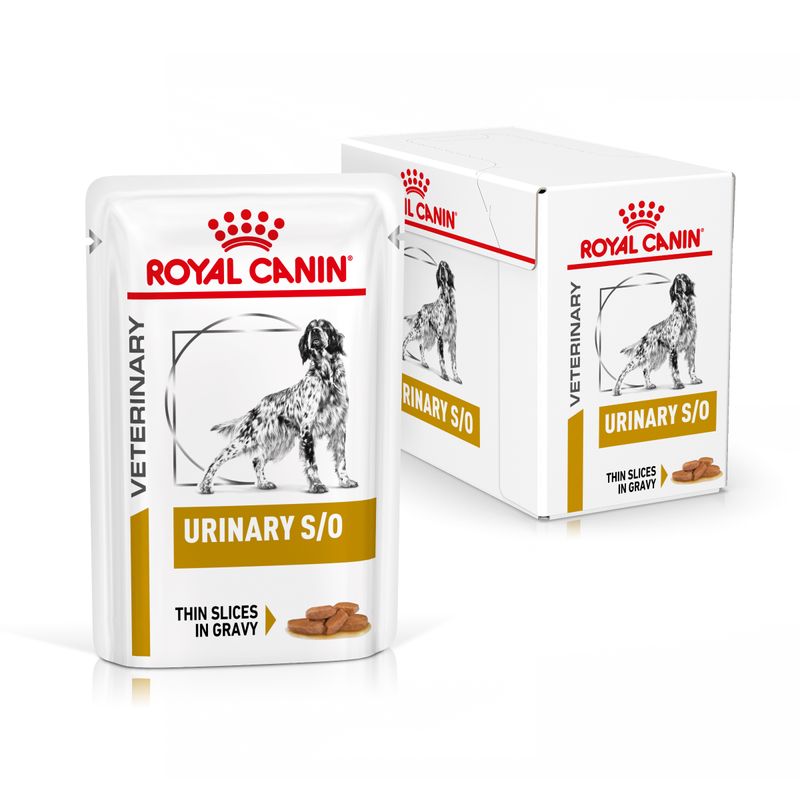 Zooplus Royal Canin Urinary S/O Canine Veterinary umido in salsa per cane Offerta settimanale