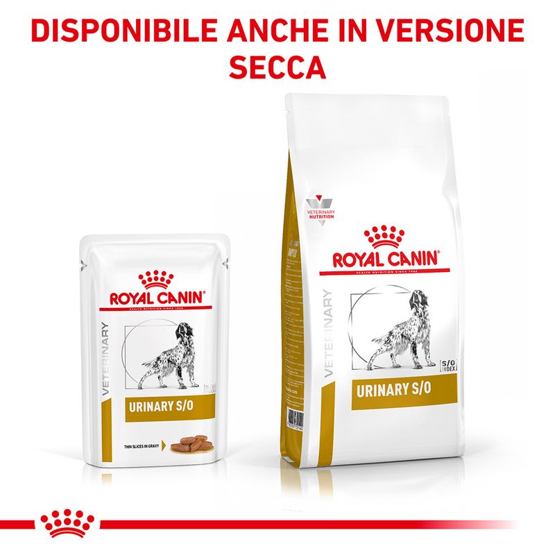 Zooplus Royal Canin Urinary S/O Canine Veterinary umido in salsa per cane Offerta settimanale