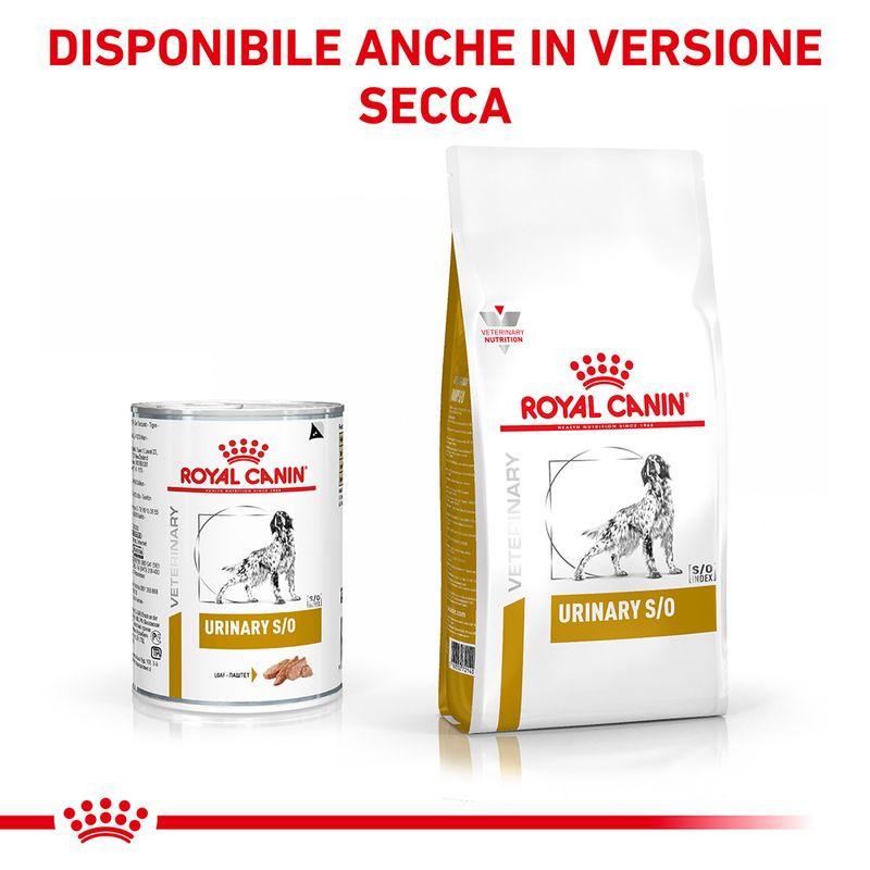 Zooplus Royal Canin Urinary S/O Canine Veterinary Mousse umido per cane ACQUISTA ORA