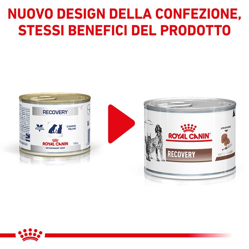Zooplus Royal Canin Recovery Veterinary Mousse cane e gatto Latest stili