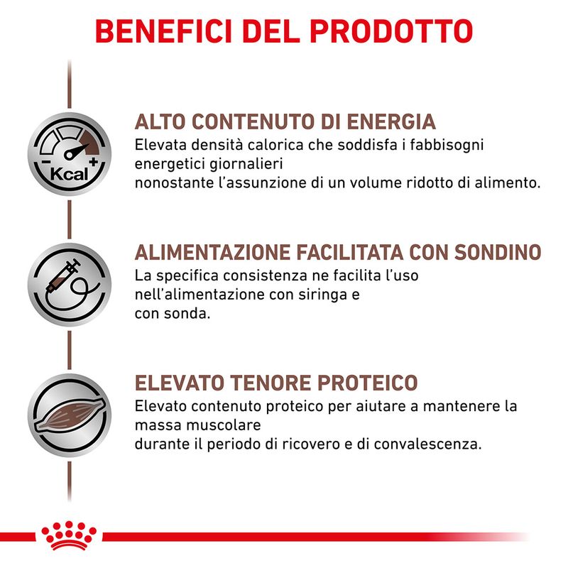 Zooplus Royal Canin Recovery Veterinary Mousse cane e gatto Latest stili