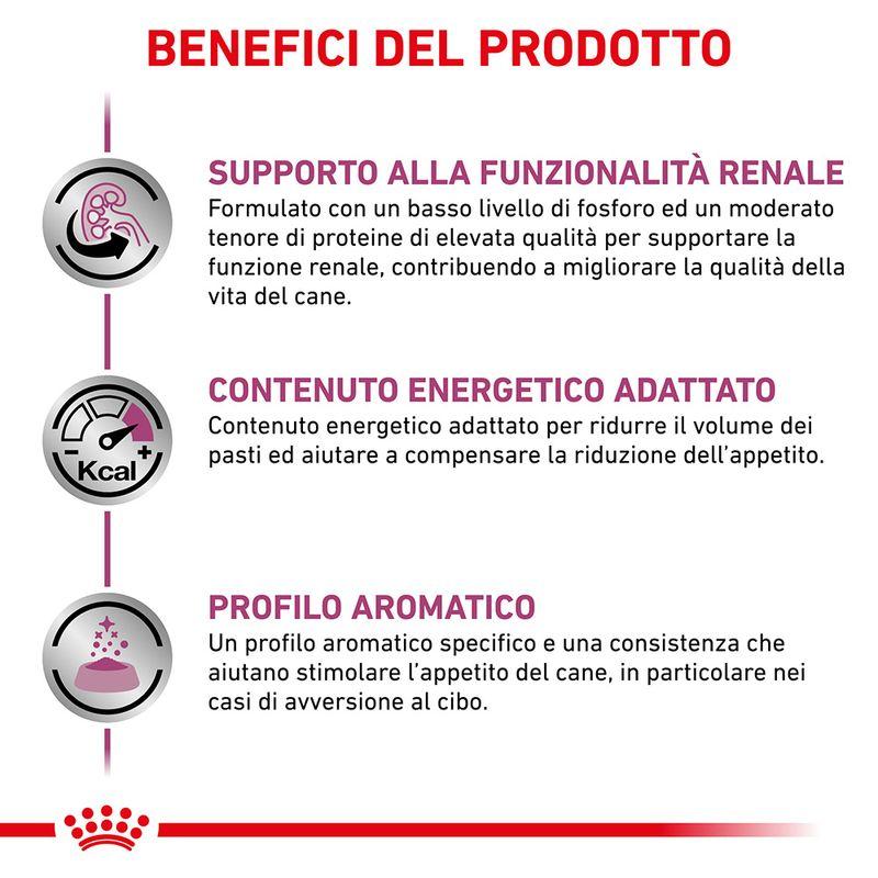 Zooplus Royal Canin Renal Veterinary Mousse umido cane Ultimo giorno