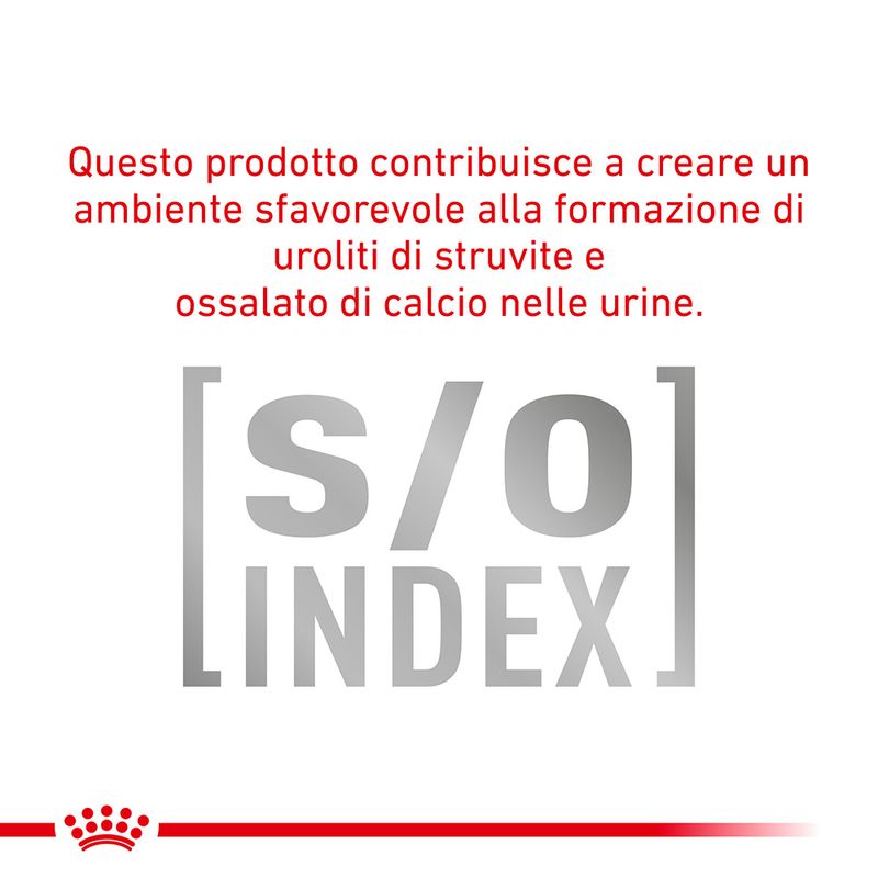 Zooplus Royal Canin Diabetic Special Low Carbohydrate Veterinary Mousse umido per cane Fino al 50% di sconto