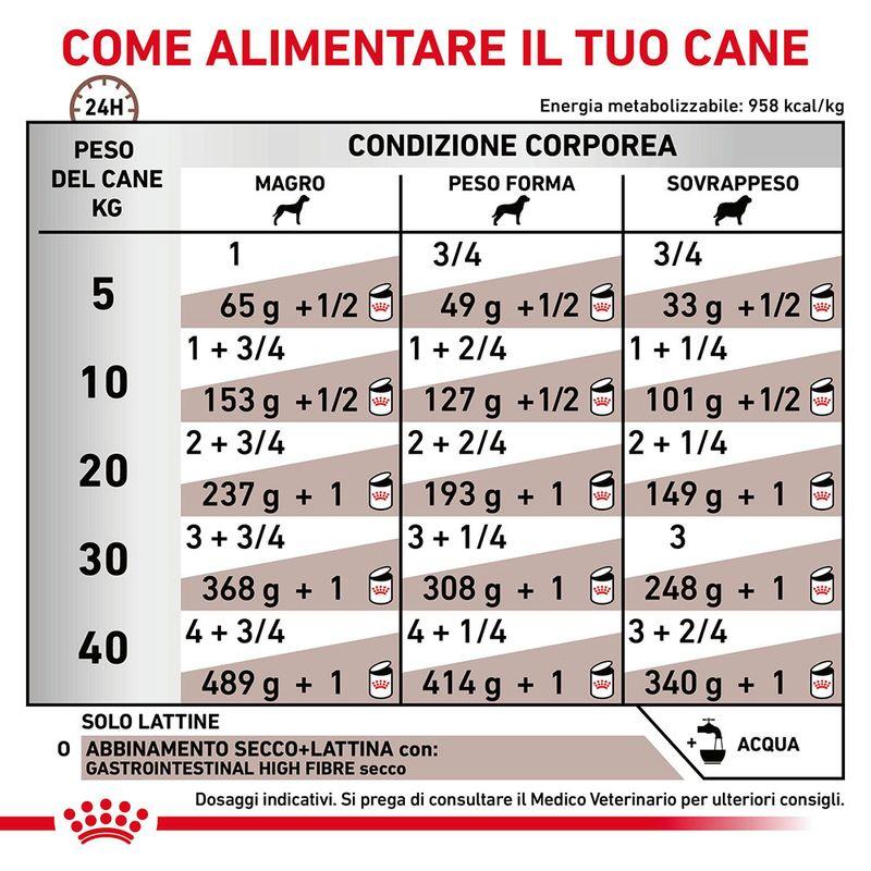 Zooplus Royal Canin Gastrointestinal High Fibre Veterinary Canine Mousse per cane Fino al 65% di sconto