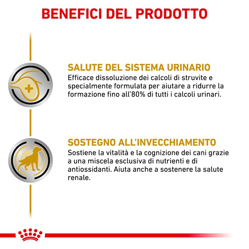 Zooplus Royal Canin Urinary S/O Ageing 7+ Veterinary Patè umido per cane Only for today