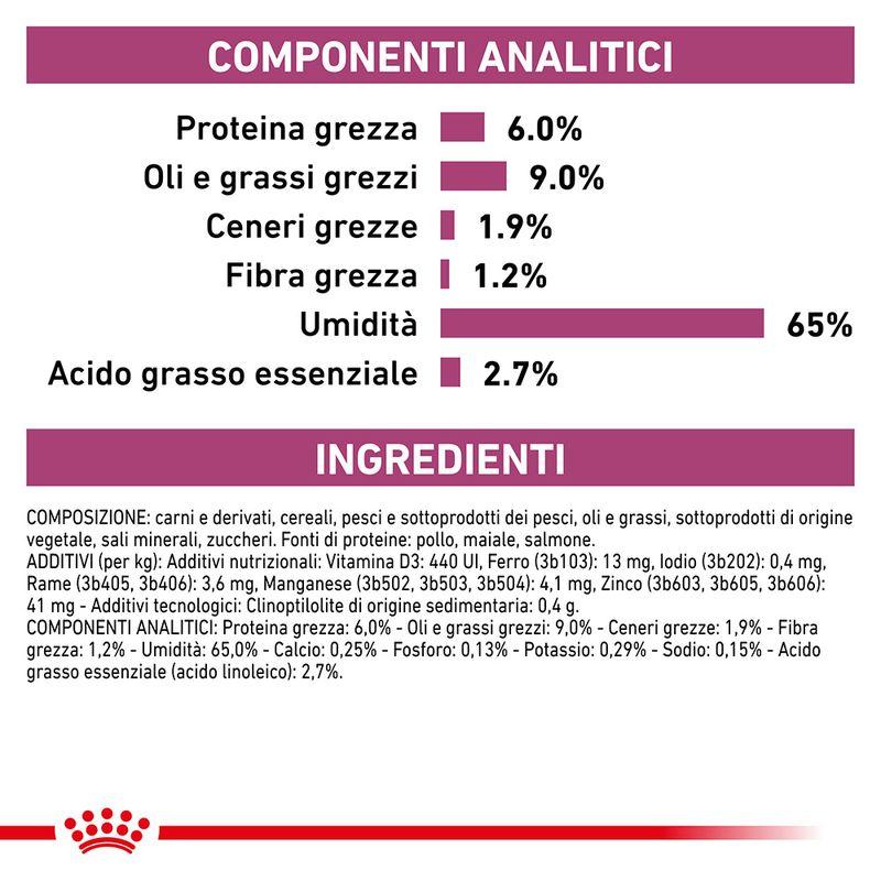 Zooplus Royal Canin Renal Special Canine Veterinary Mousse umido per cane Offerta speciale della fabbrica