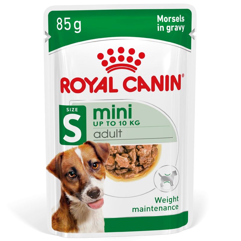 Zooplus Royal Canin Mini Adult umido in salsa per cane Vendita Economica