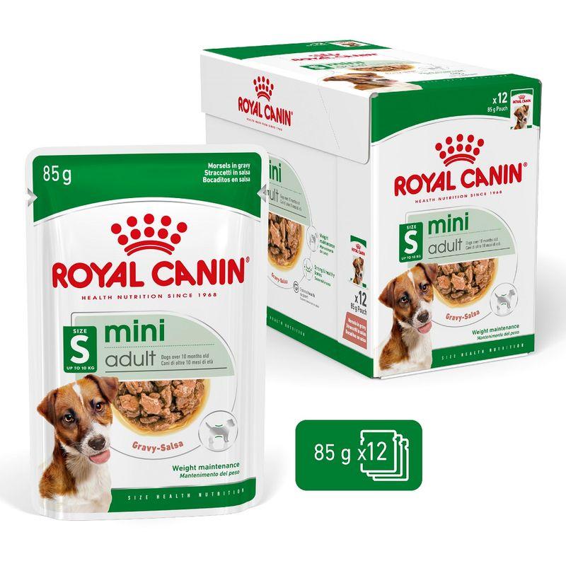 Zooplus Royal Canin Mini Adult umido in salsa per cane Vendita Economica