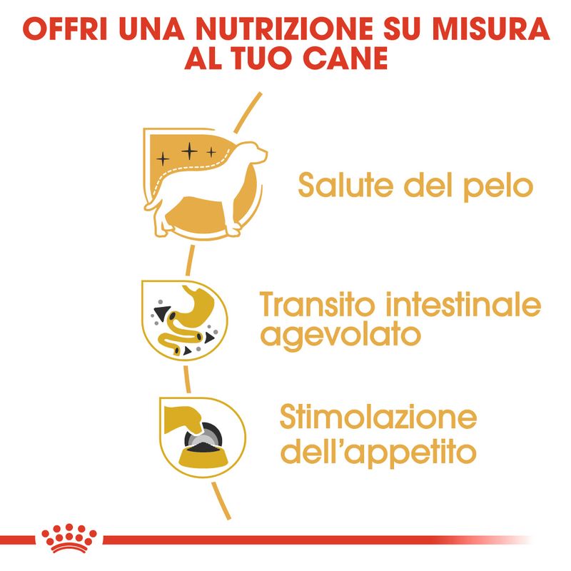 Zooplus Royal Canin Chihuahua Mousse umido per cane I Più Venduti