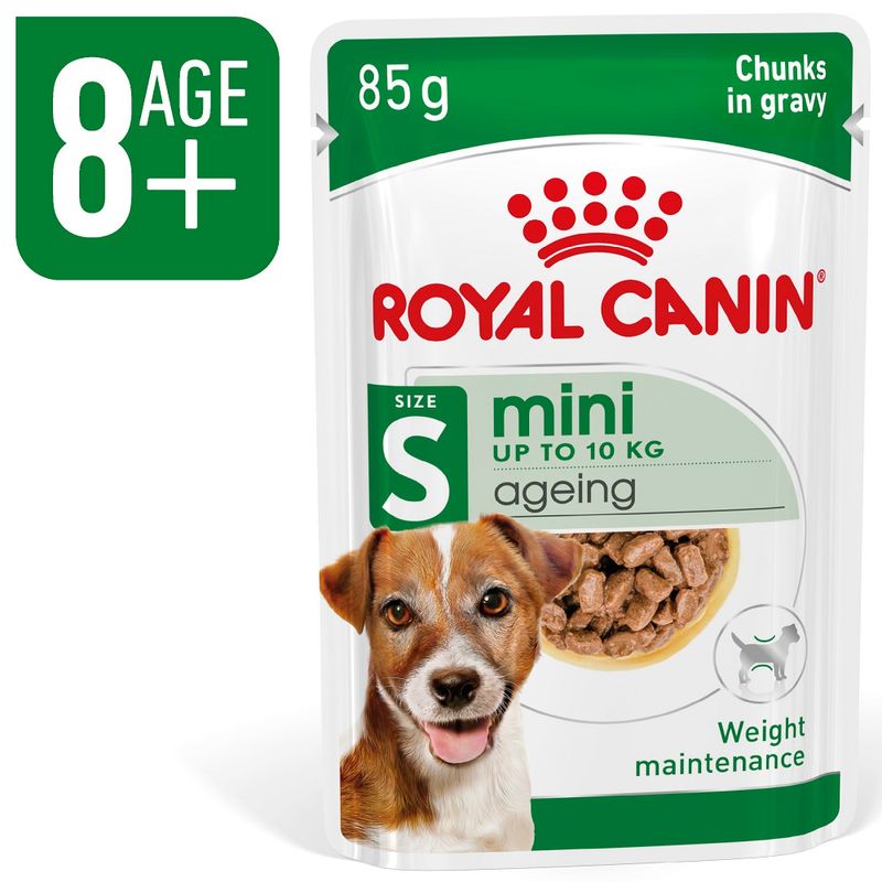 Zooplus Royal Canin Mini Ageing umido in salsa per cane Vendite Flash