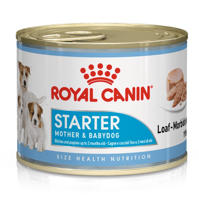 Zooplus Royal Canin Starter Mousse Mother & Babydog umido per cane Negozio