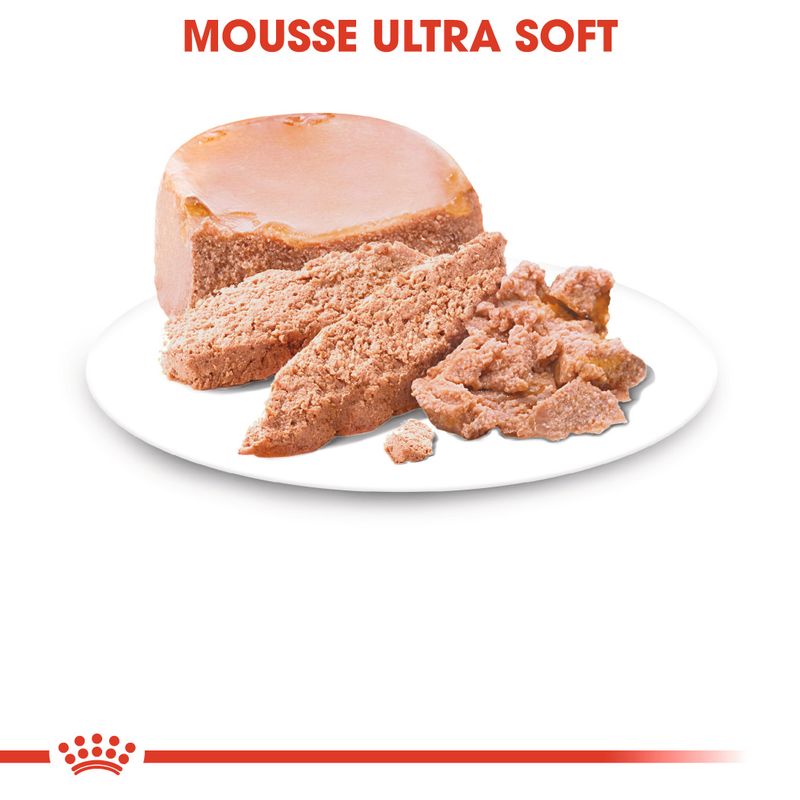 Zooplus Royal Canin Starter Mousse Mother & Babydog umido per cane Negozio