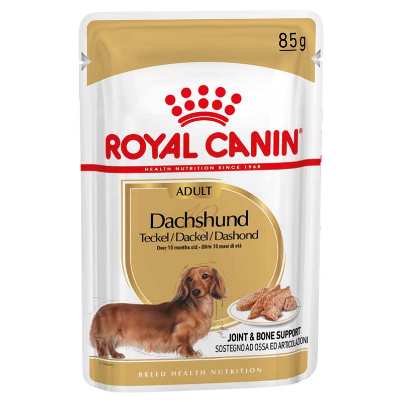 Zooplus Royal Canin Bassotto (Dachshund) Adult Patè umido per cane Moda
