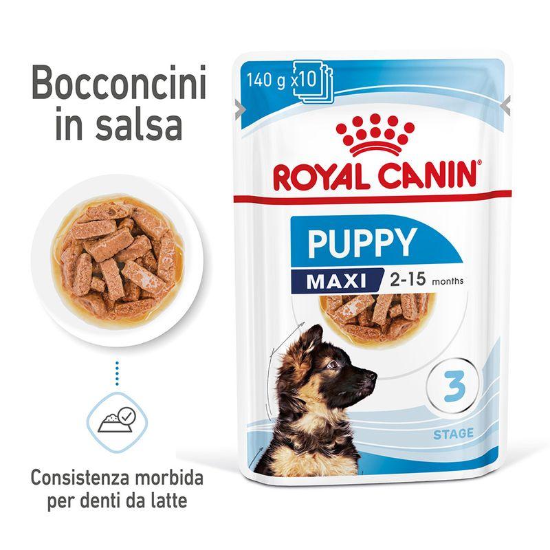 Zooplus Royal Canin Maxi Puppy umido in salsa per cane Spedizione gratuita