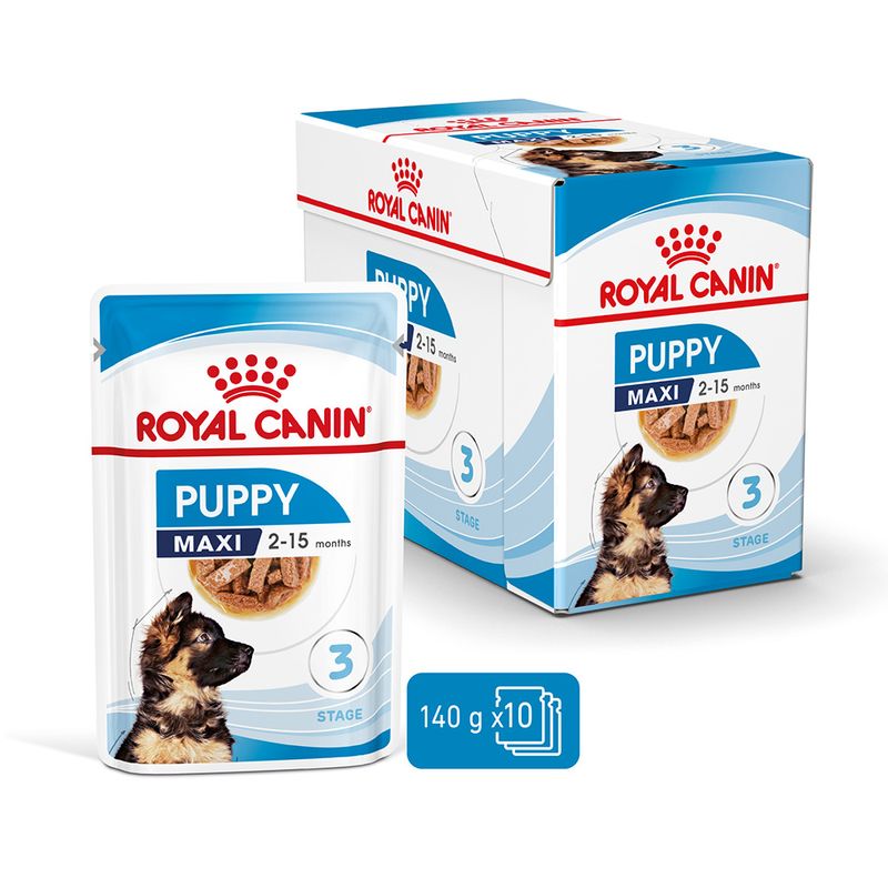 Zooplus Royal Canin Maxi Puppy umido in salsa per cane Spedizione gratuita