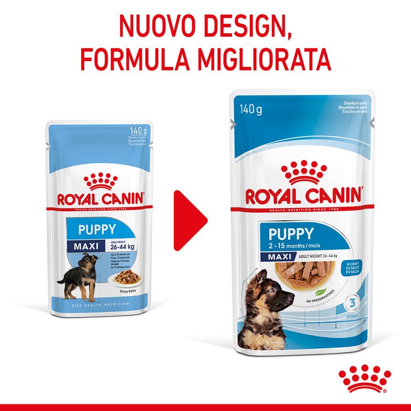 Zooplus Royal Canin Maxi Puppy umido in salsa per cane Spedizione gratuita