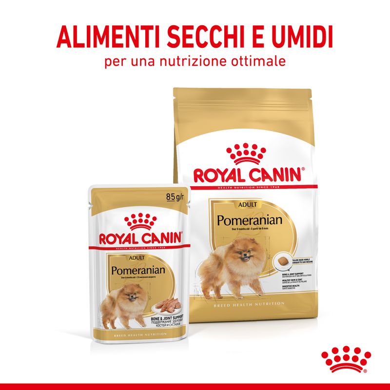 Zooplus Royal Canin Vopino di Pomerania (Pomeranian) Adult Patè umido per cane Sconto di tempo limitato