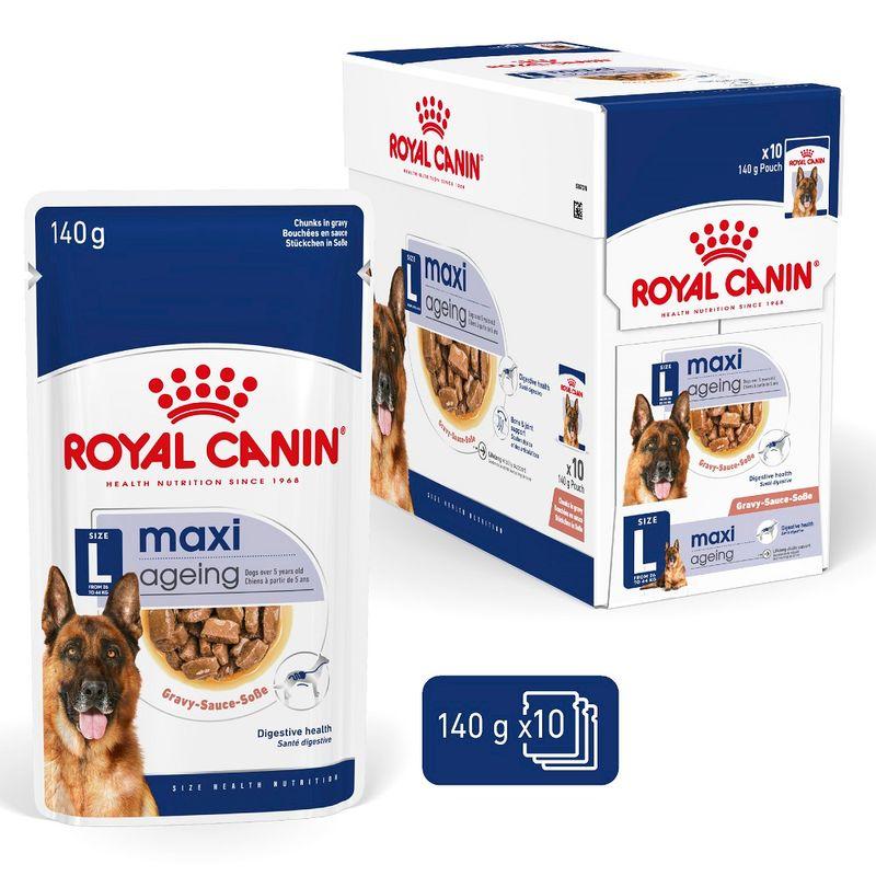 Zooplus Royal Canin Maxi Ageing umido in salsa per cane Prezzo di fabbrica