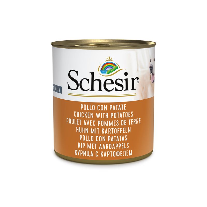Zooplus Schesir 6 x 285 g Alimento umido per cani Bestseller