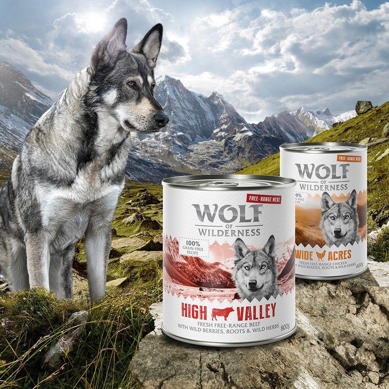 Zooplus Set Risparmio Wolf of Wilderness "Carne allevata all'aperto" 24 x 400 g Offerte giornaliere