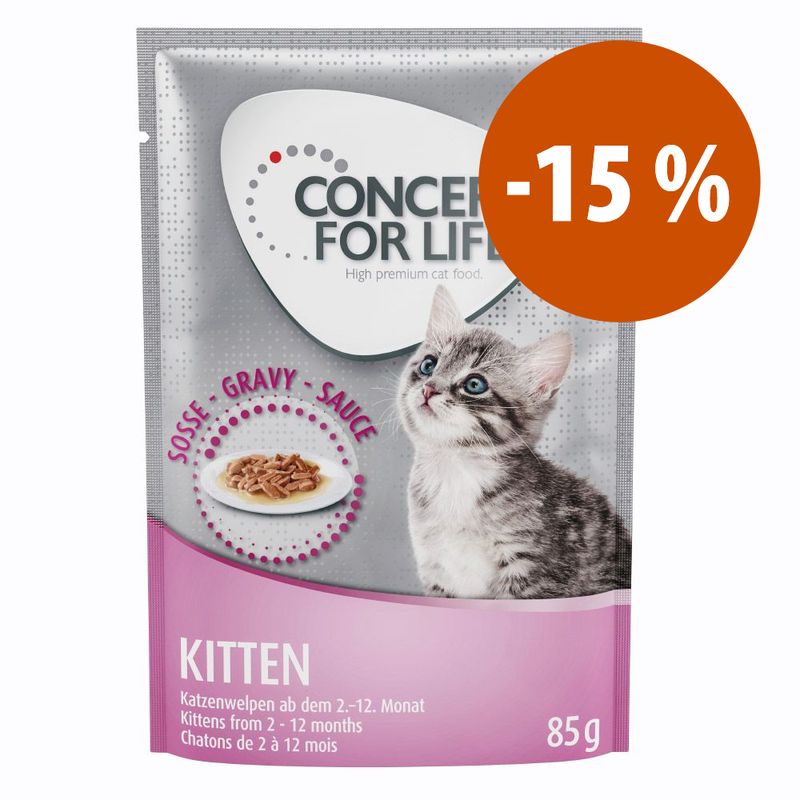 Zooplus Prezzo speciale 12 x 85 g Concept for Life Kitten Umido Offerta natalizia