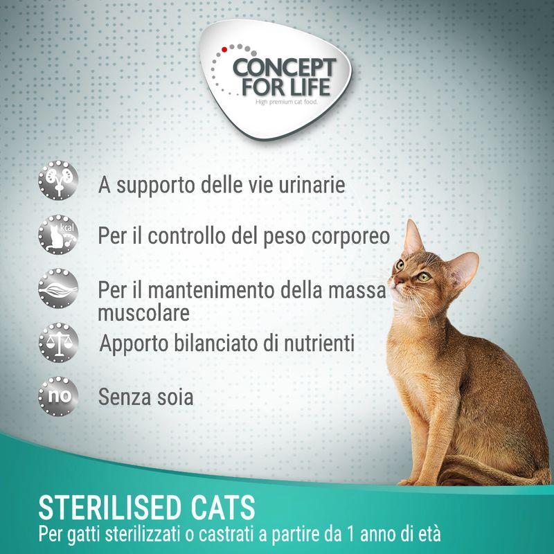 Zooplus in salsa Offerta Anniversario