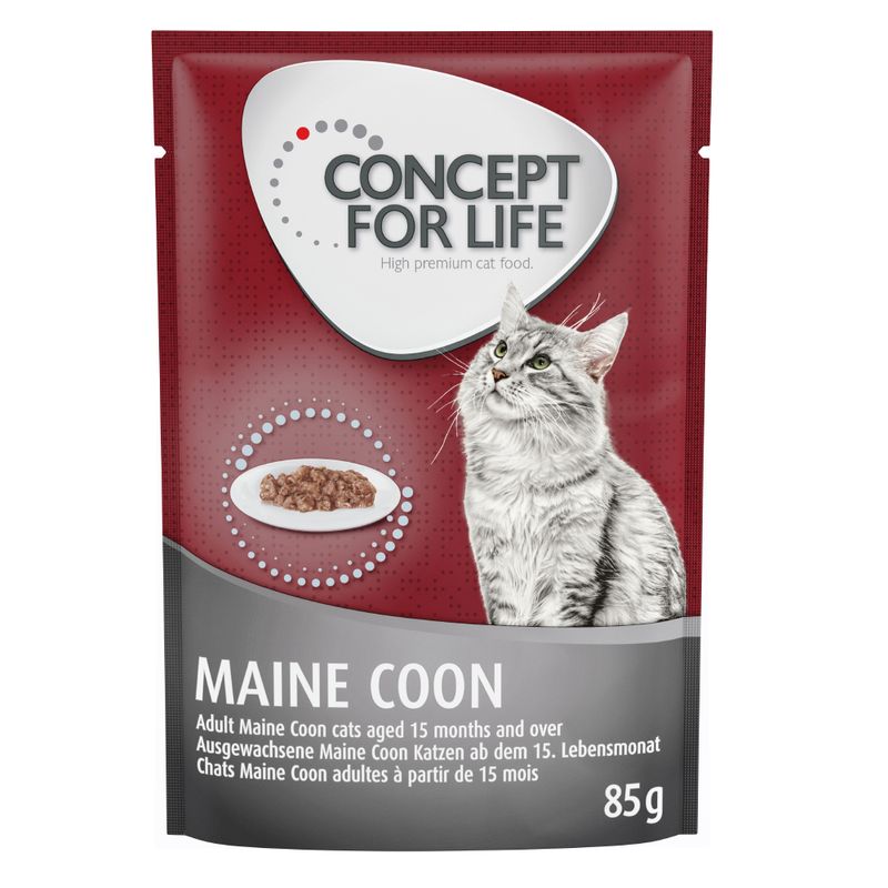 Zooplus Concept for Life Maine Coon Adult (a base di pregiato ragù) Vendita calda